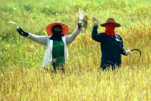 lavoratori esposti ai pesticidi